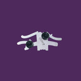 Taurus